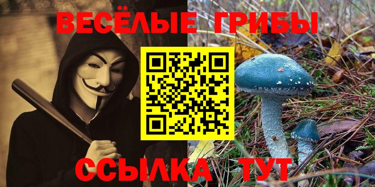 закладка  Галлюциногенные грибы MAGIC MUSHROOMS  Вход с VPN  Ханты-Мансийск 